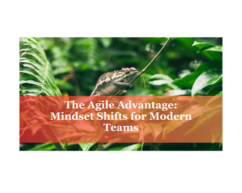 The Agile Advantage: Mindset Shifts for Modern Teams