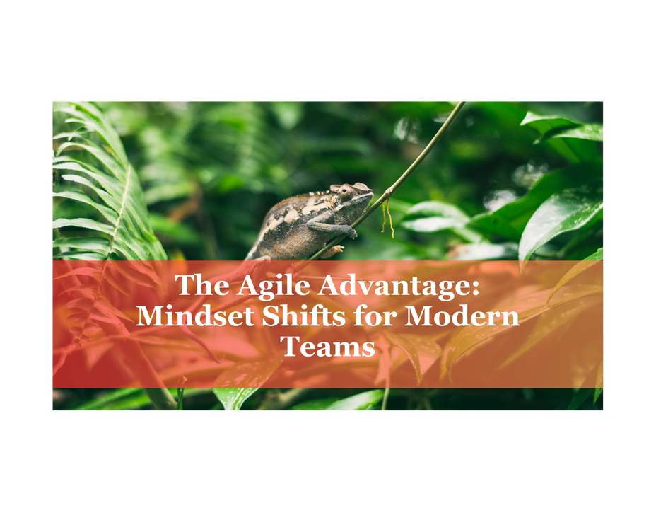 The Agile Advantage: Mindset Shifts for Modern Teams